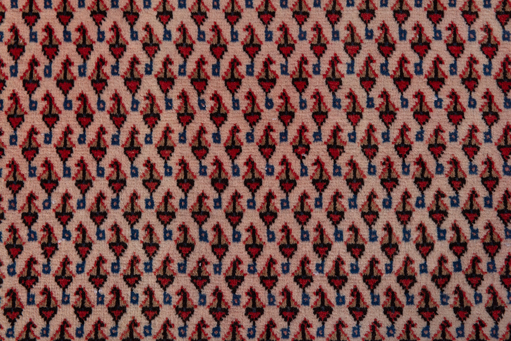 5510 Arak Handmade Persian Rug