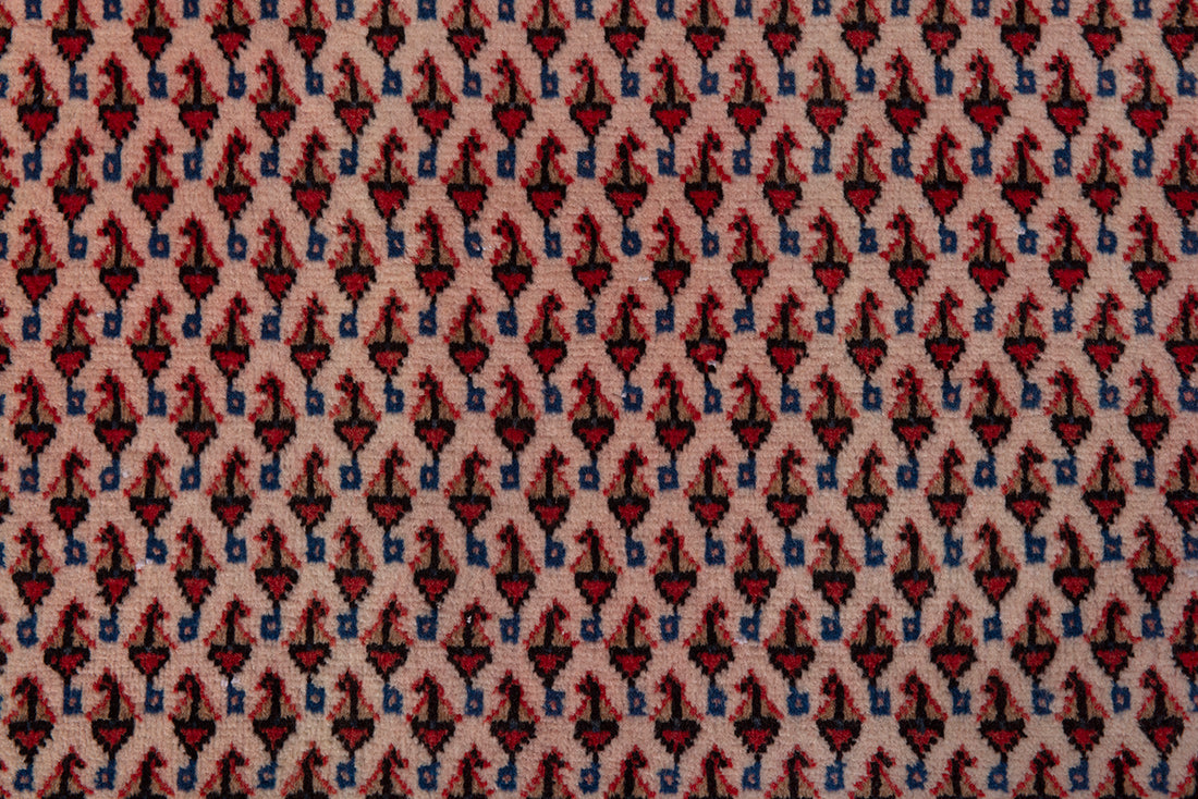 5510 Arak Handmade Persian Rug