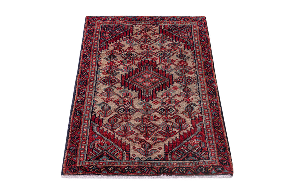 5537 Hamedan Handmade Persian Rug