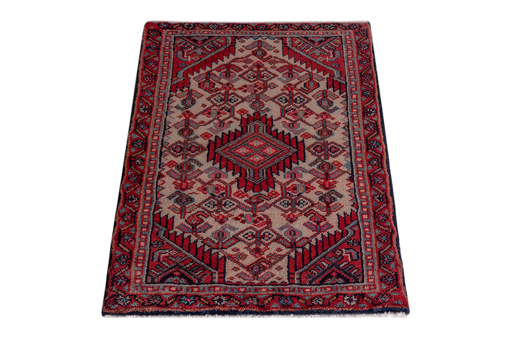5537 Hamedan Handmade Persian Rug