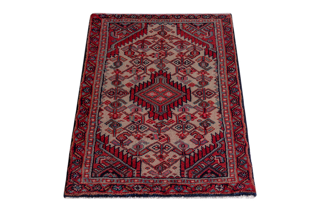 5537 Hamedan Handmade Persian Rug