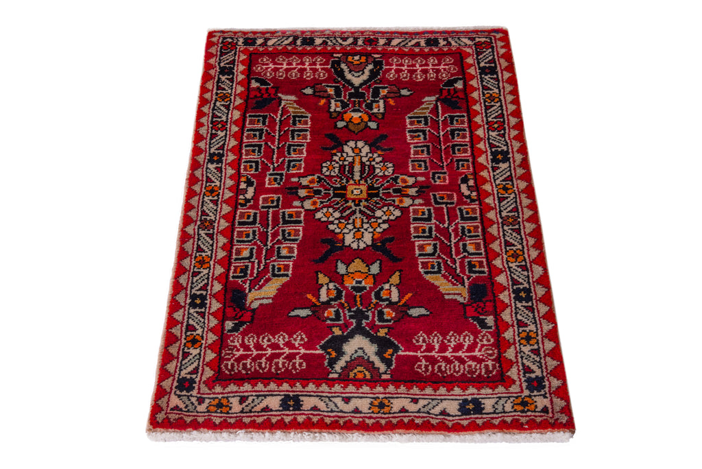 5543 Hamedan Handmade Persian Rug