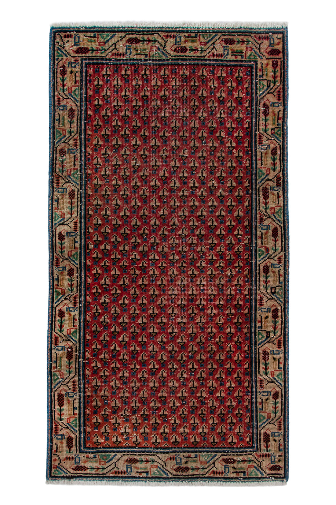 5549 Arak Handmade Persian Rug