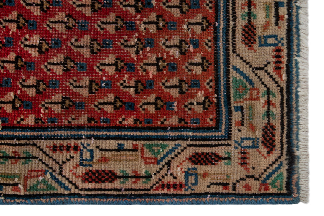 5549 Arak Handmade Persian Rug