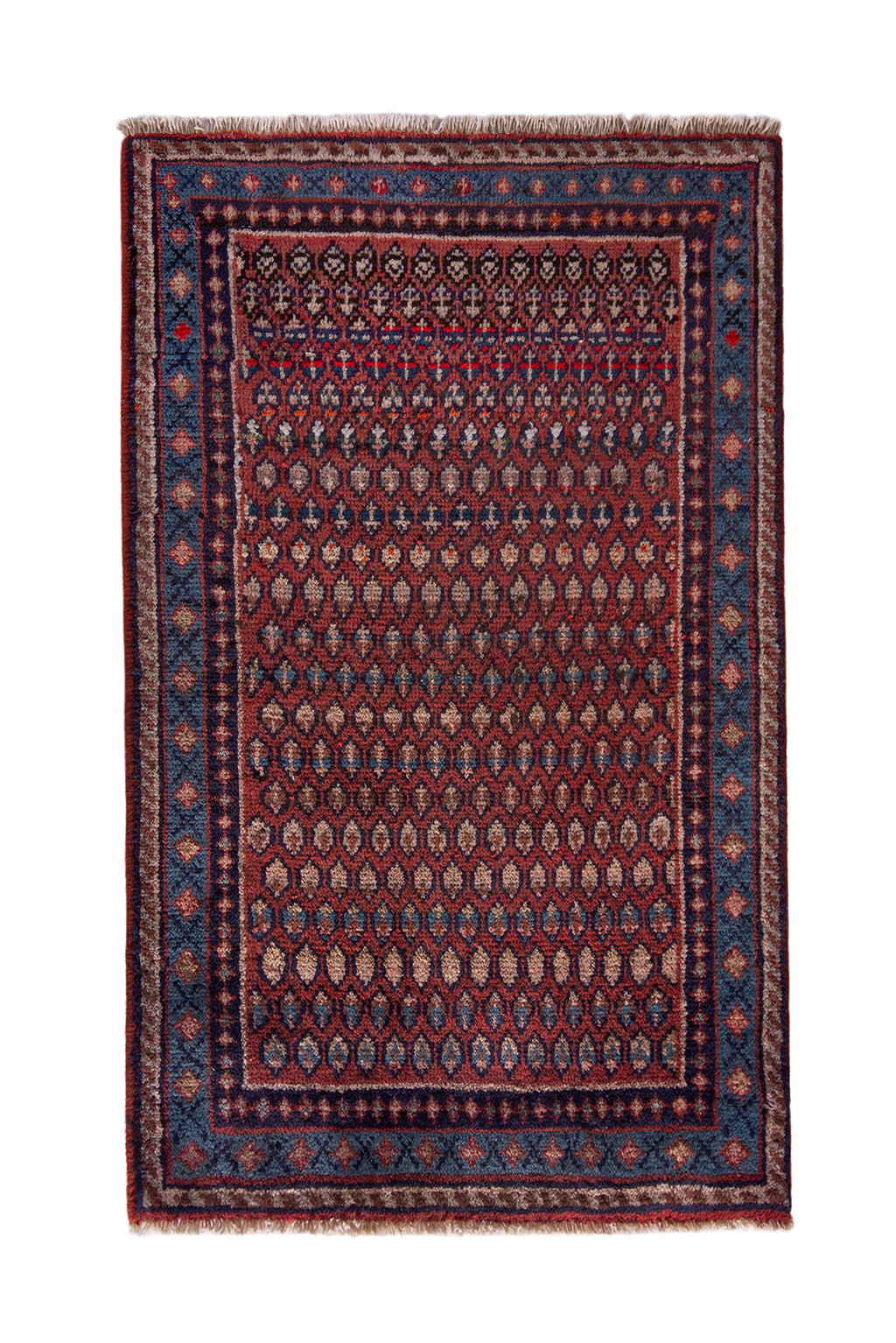 5552 Arak Handmade Persian Rug