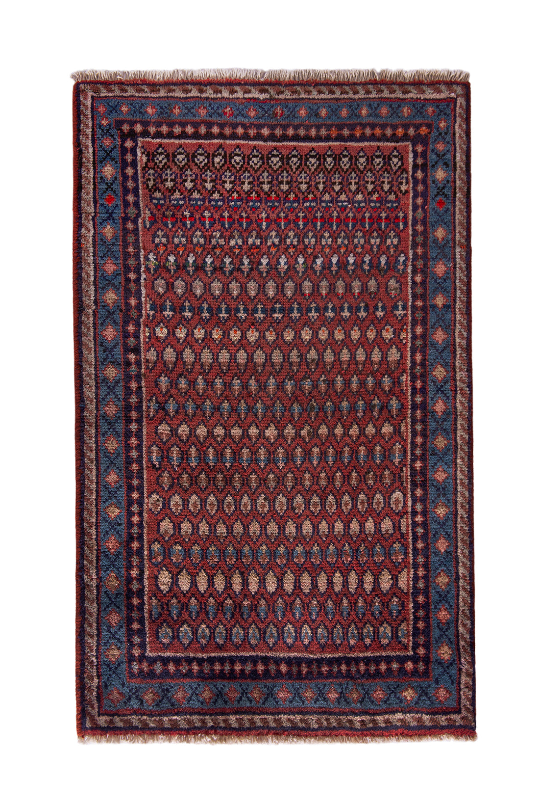 5552 Arak Handmade Persian Rug