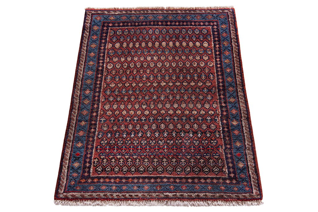 5552 Arak Handmade Persian Rug