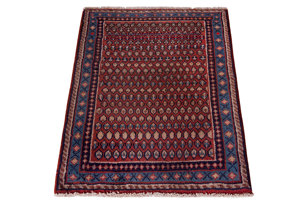 5552 Arak Handmade Persian Rug