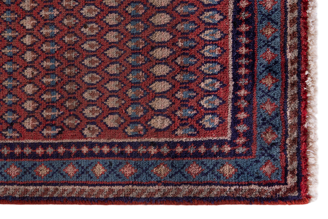 5552 Arak Handmade Persian Rug