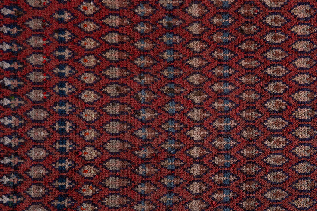 5552 Arak Handmade Persian Rug