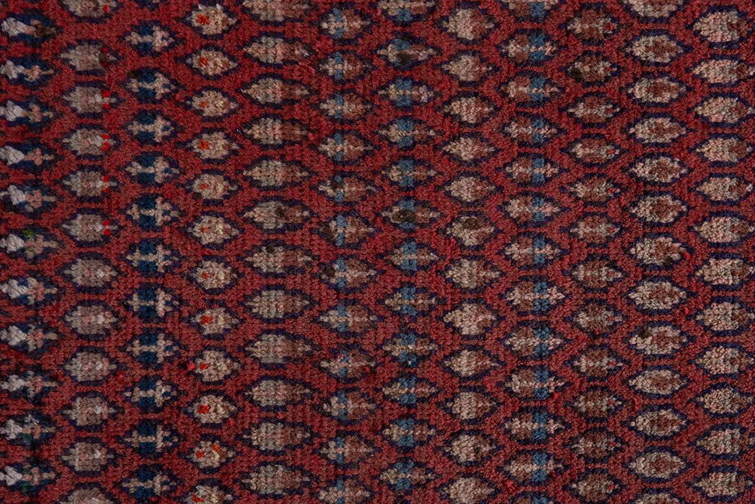 5552 Arak Handmade Persian Rug
