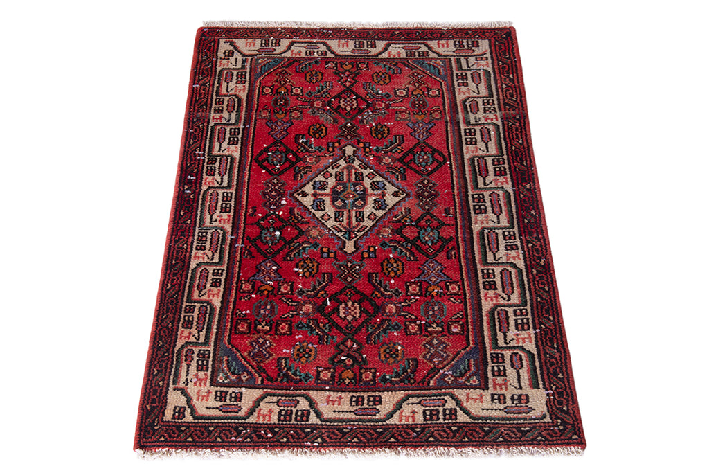 5556 Hamedan Handmade Persian Rug
