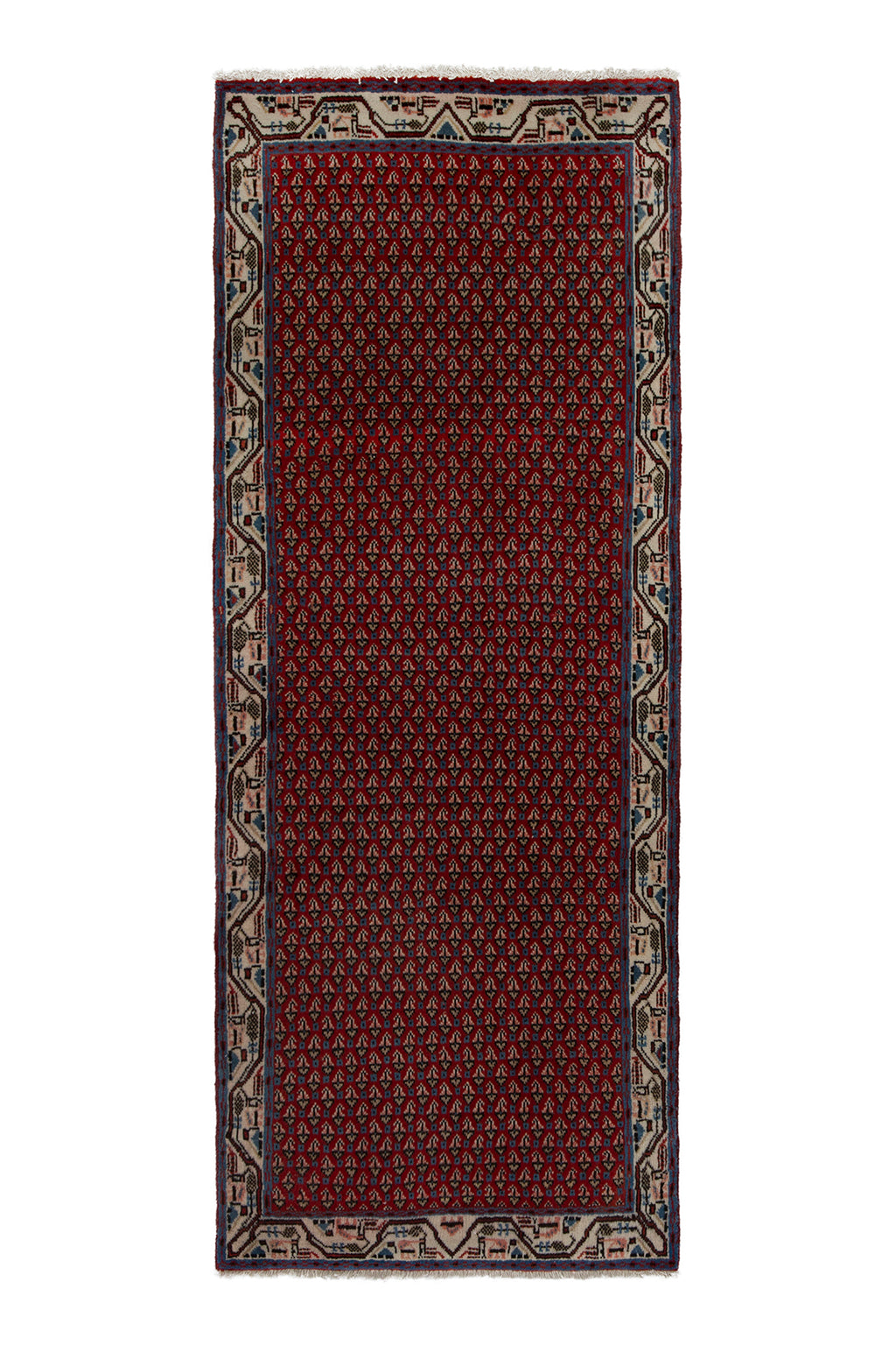 5580 Arak Handmade Persian Rug
