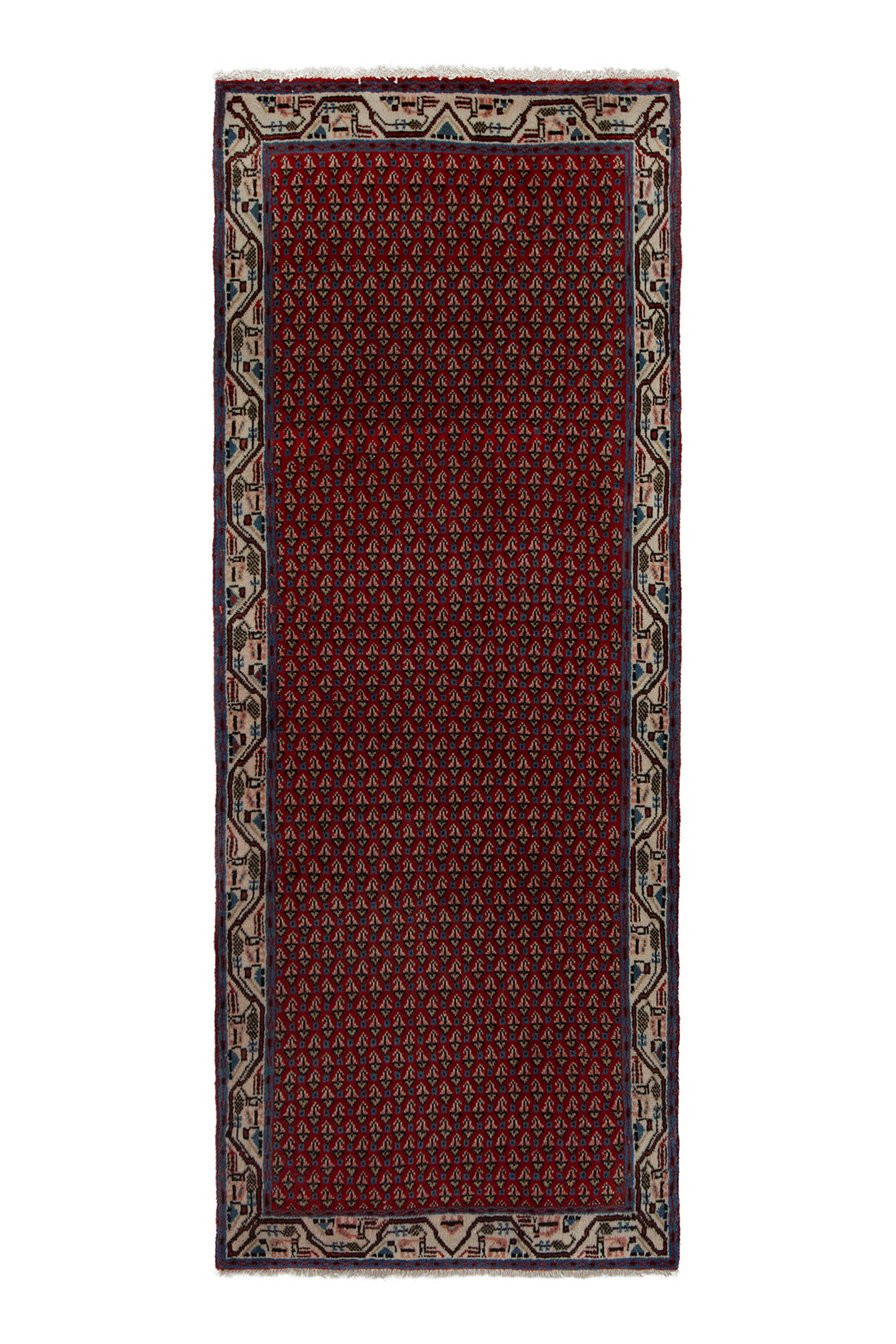5580 Arak Handmade Persian Rug