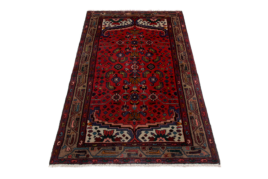5581 Hamedan Handmade Persian Rug