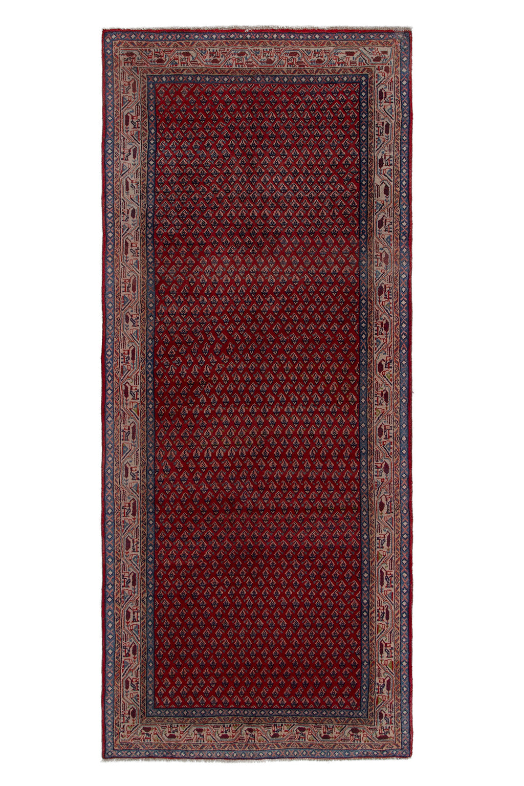 5619 Arak Handmade Persian Rug