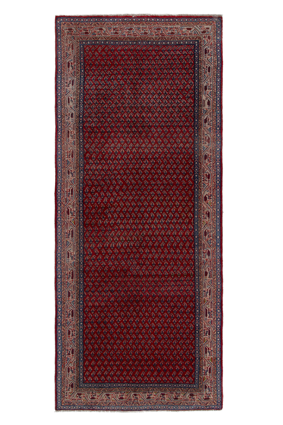 5619 Arak Handmade Persian Rug