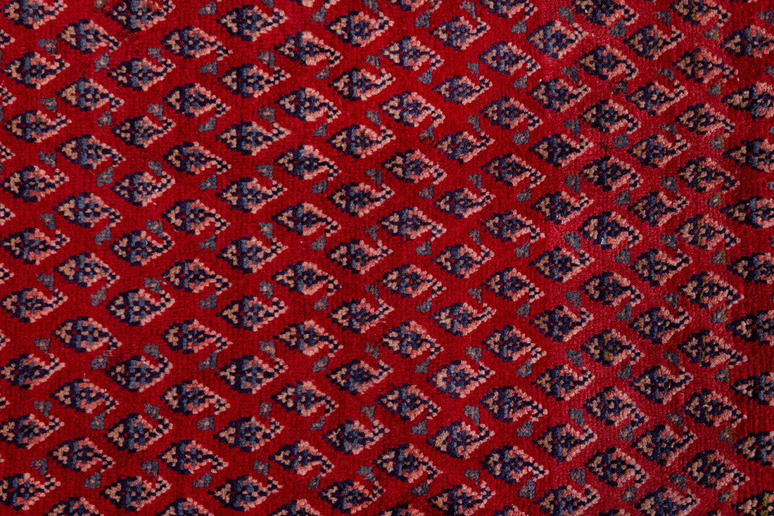 5619 Arak Handmade Persian Rug