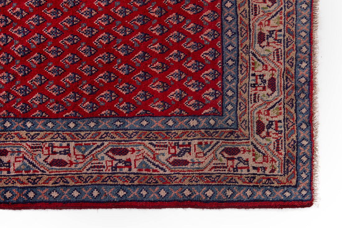 5619 Arak Handmade Persian Rug