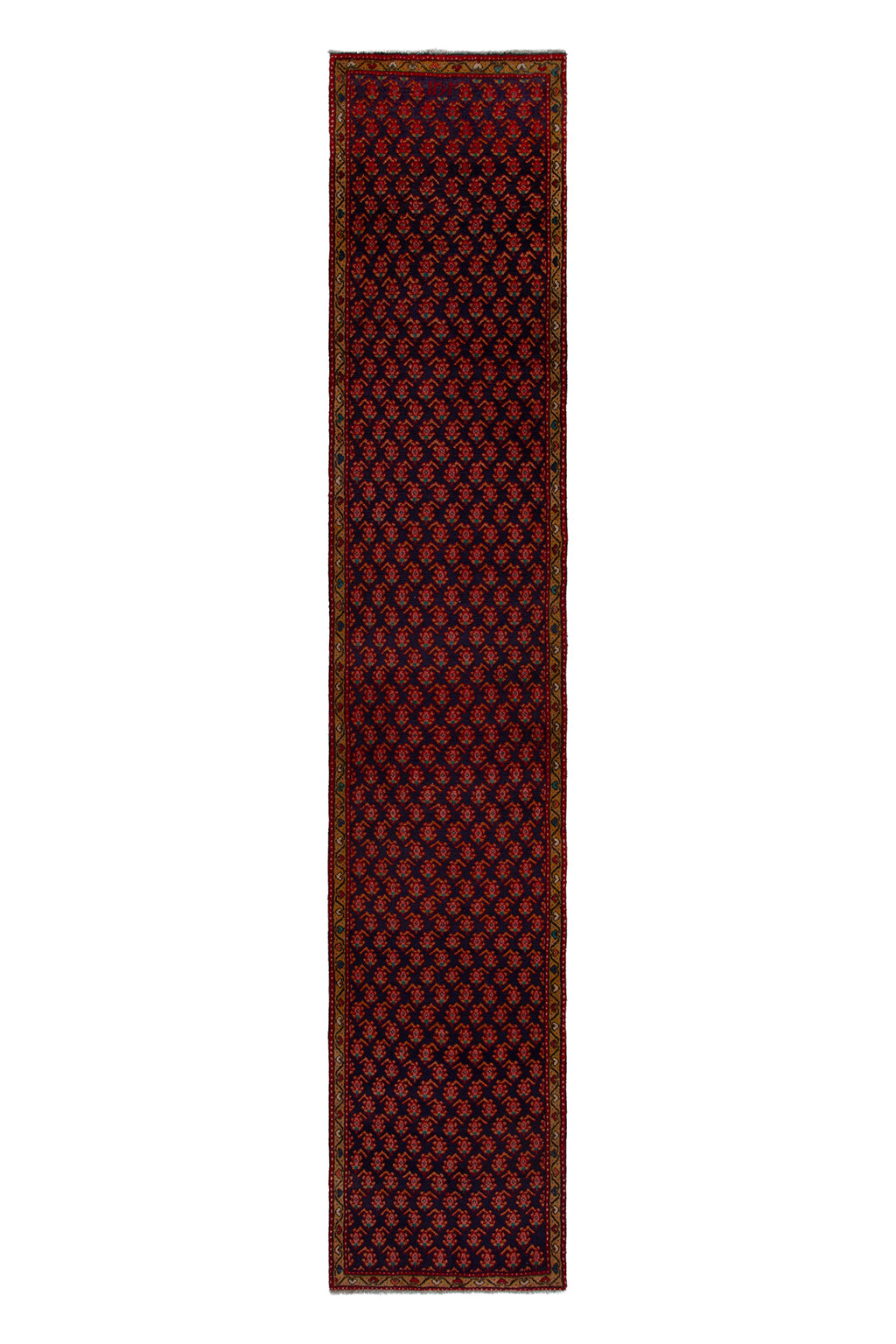 5624 Arak Handmade Persian Rug