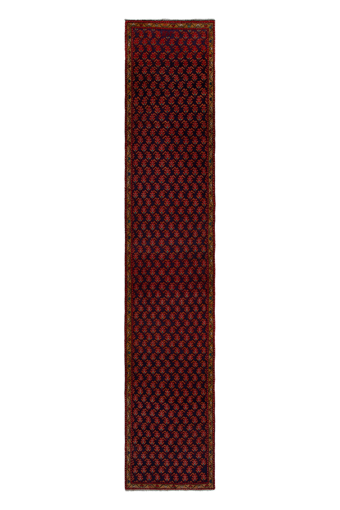 5624 Arak Handmade Persian Rug