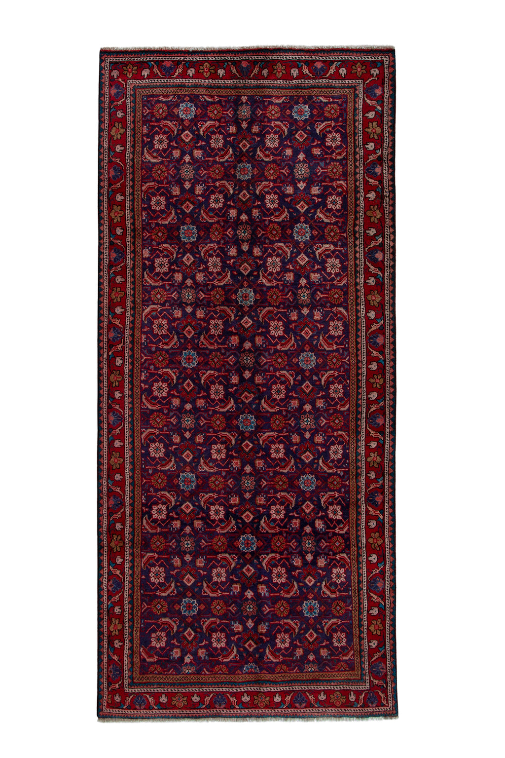 5654 Arak Handmade Persian Rug