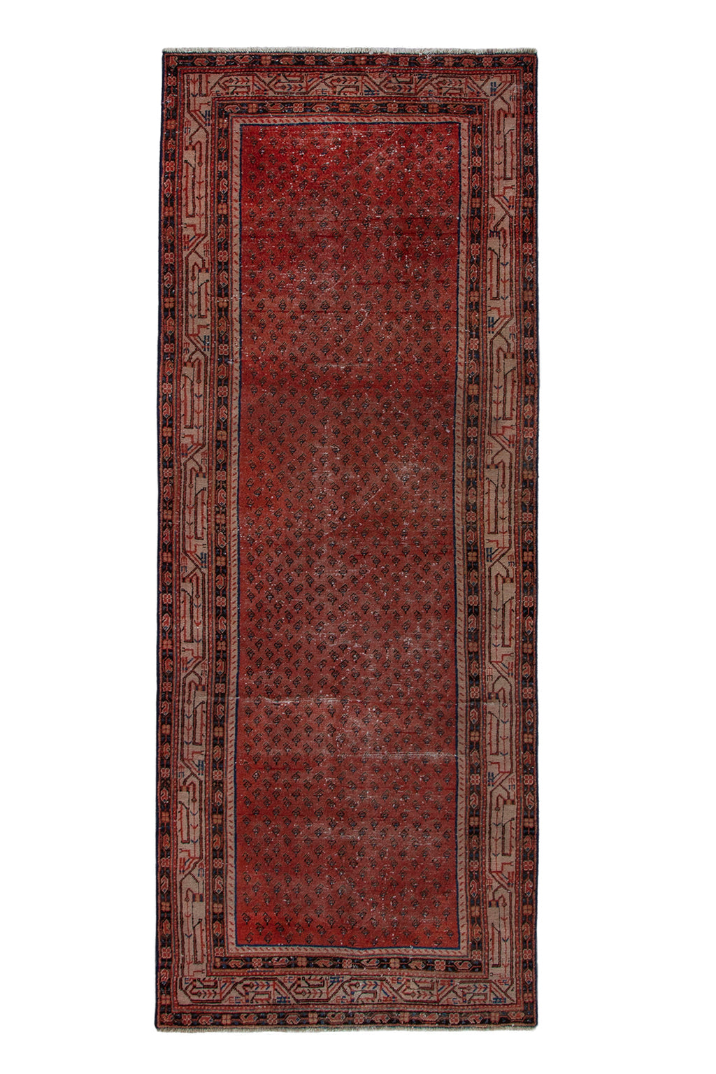 5657 Arak Handmade Persian Rug