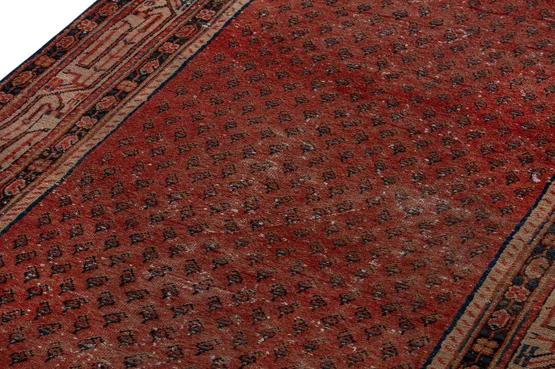 5657 Arak Handmade Persian Rug