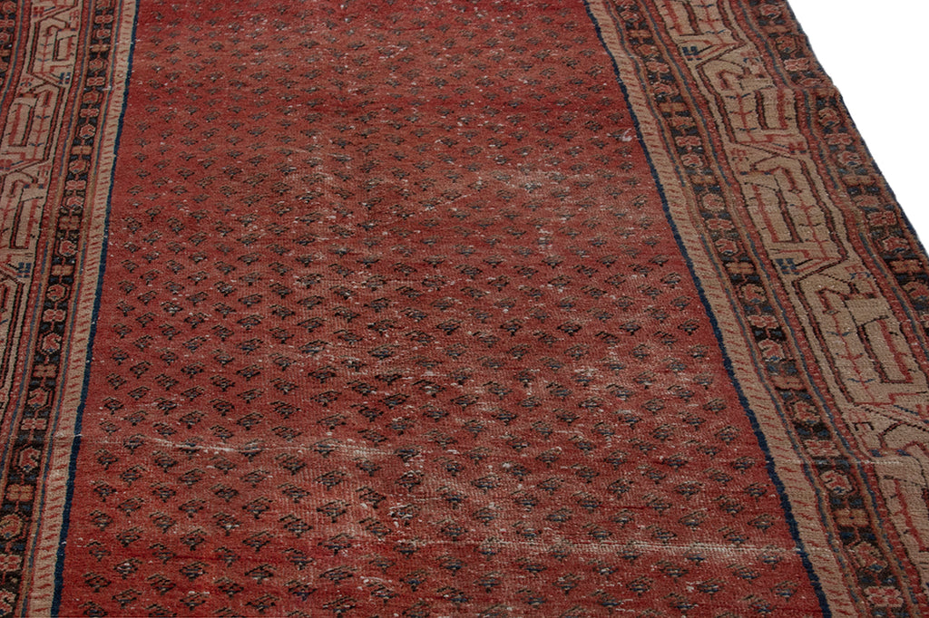5657 Arak Handmade Persian Rug