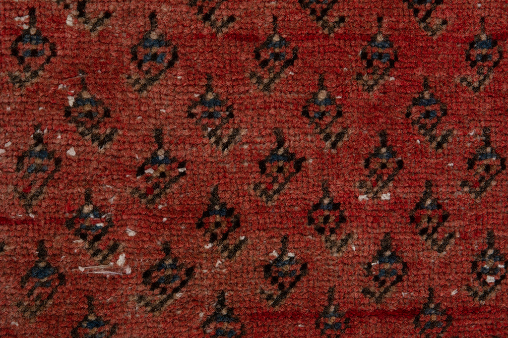 5657 Arak Handmade Persian Rug