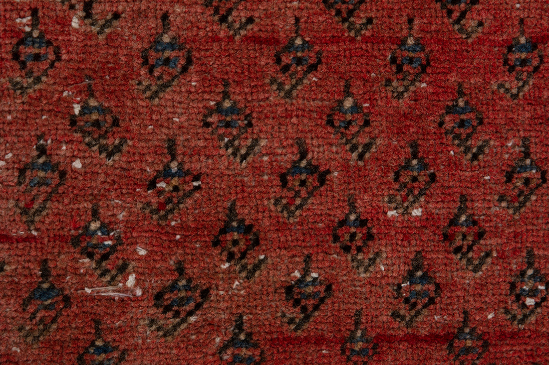 5657 Arak Handmade Persian Rug