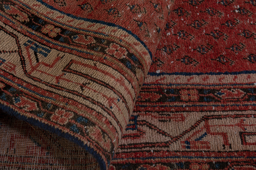 5657 Arak Handmade Persian Rug