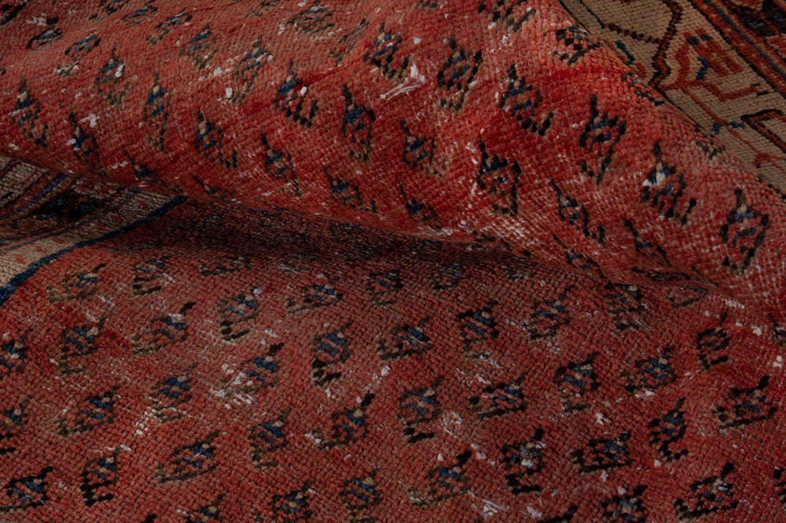 5657 Arak Handmade Persian Rug