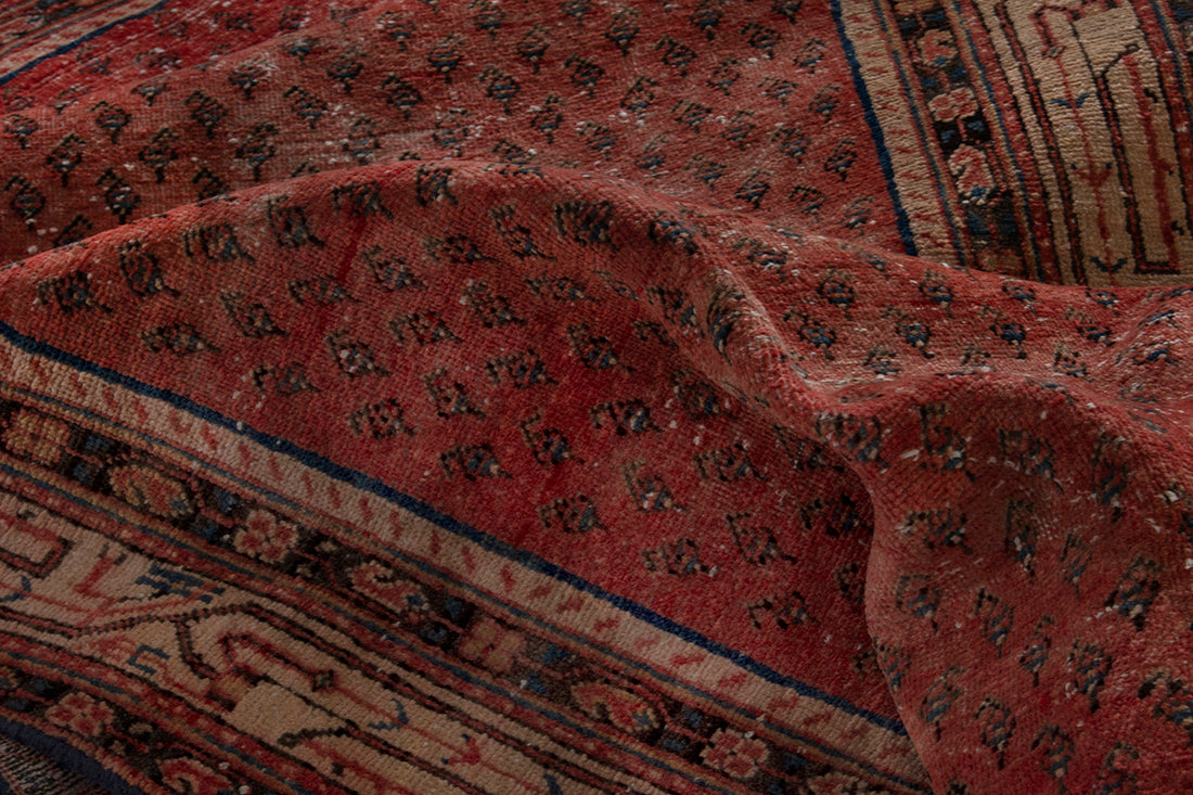 5657 Arak Handmade Persian Rug
