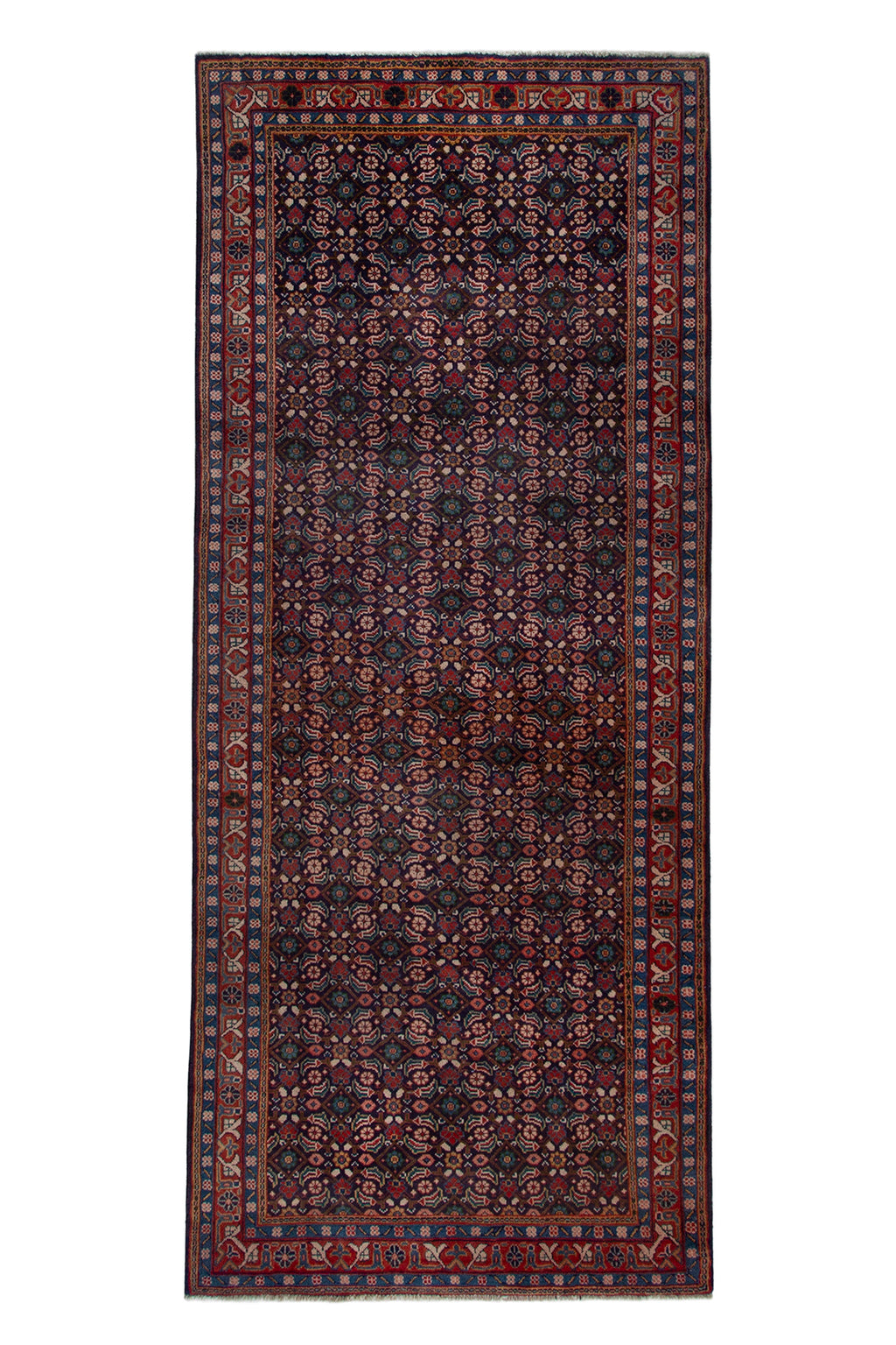 5668 Arak Handmade Persian Rug
