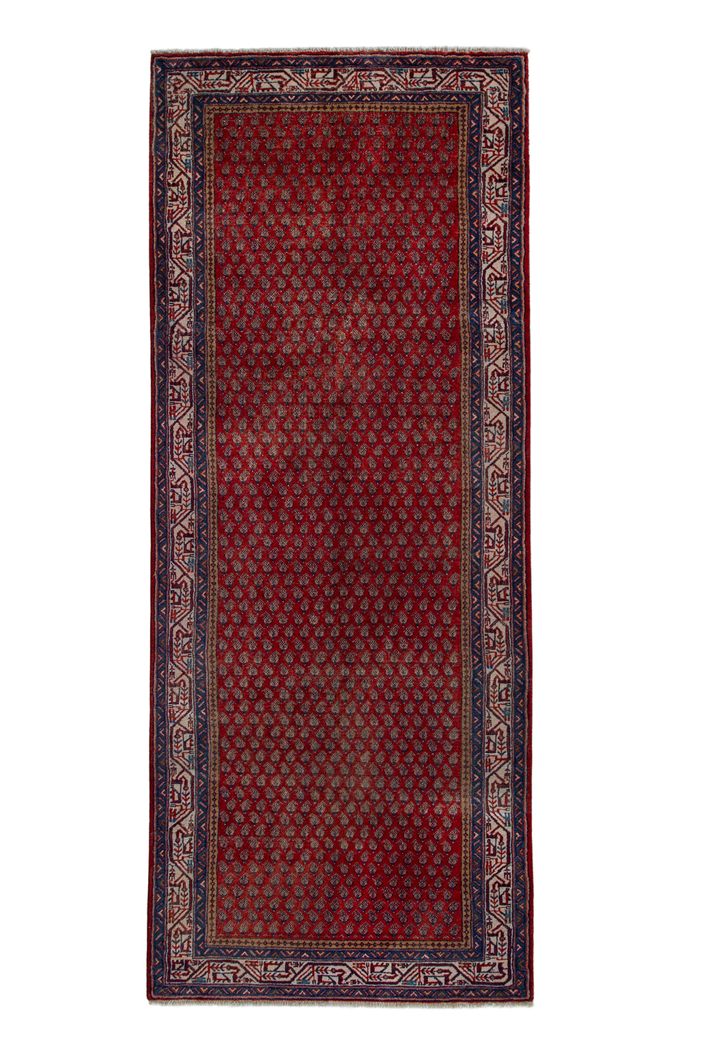 5669 Arak Handmade Persian Rug