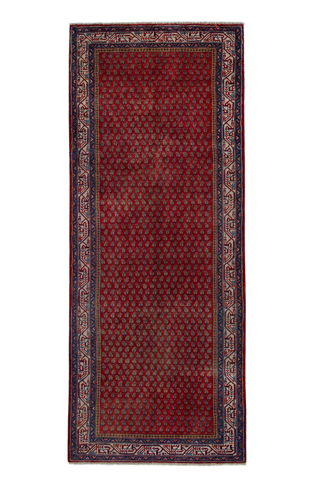 5669 Arak Handmade Persian Rug