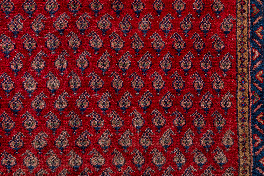 5669 Arak Handmade Persian Rug