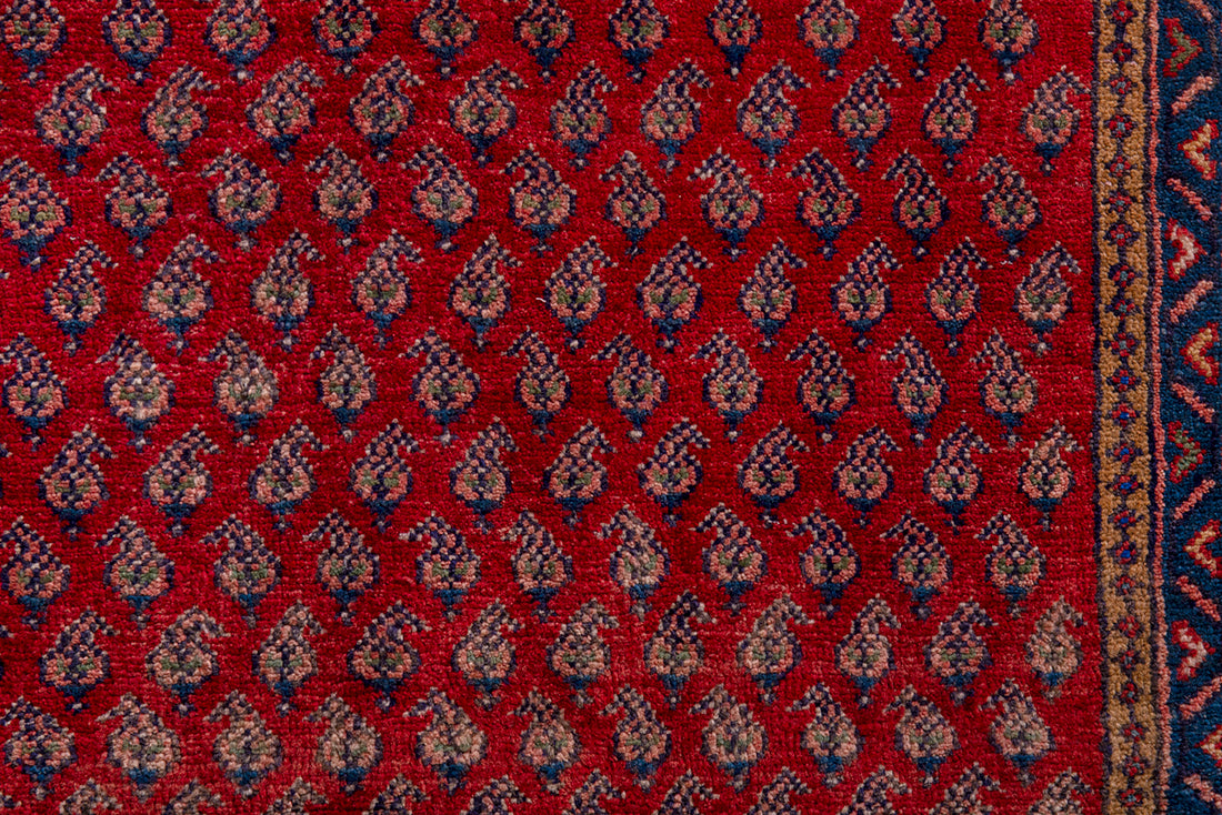5669 Arak Handmade Persian Rug