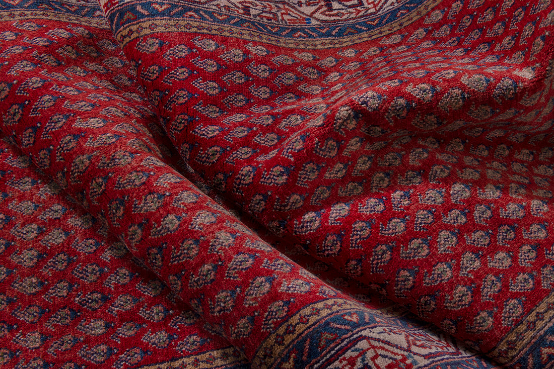 5669 Arak Handmade Persian Rug