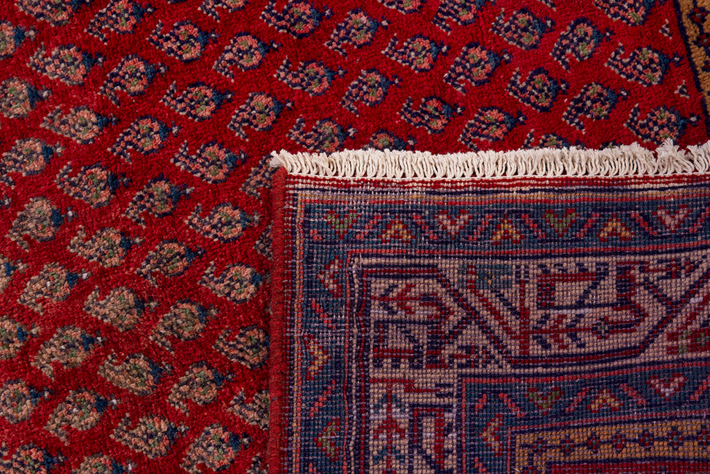 5669 Arak Handmade Persian Rug