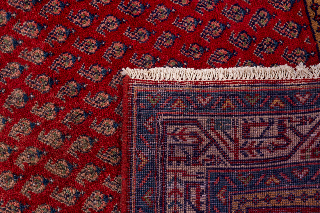 5669 Arak Handmade Persian Rug
