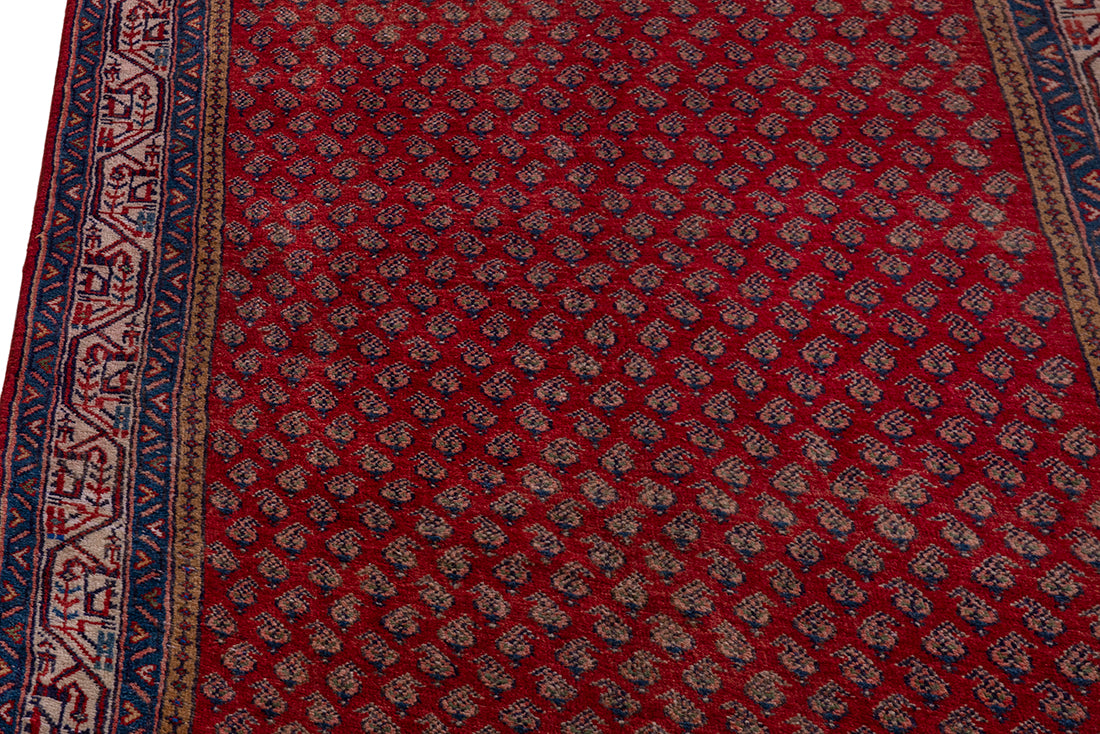 5669 Arak Handmade Persian Rug