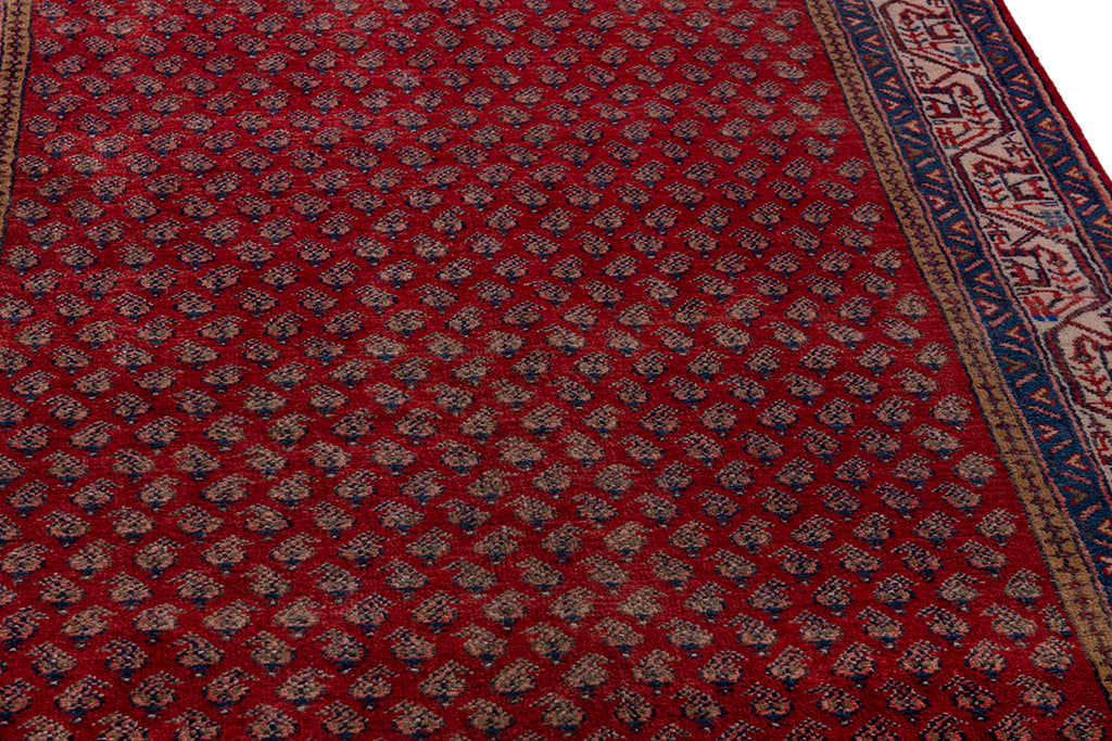 5669 Arak Handmade Persian Rug