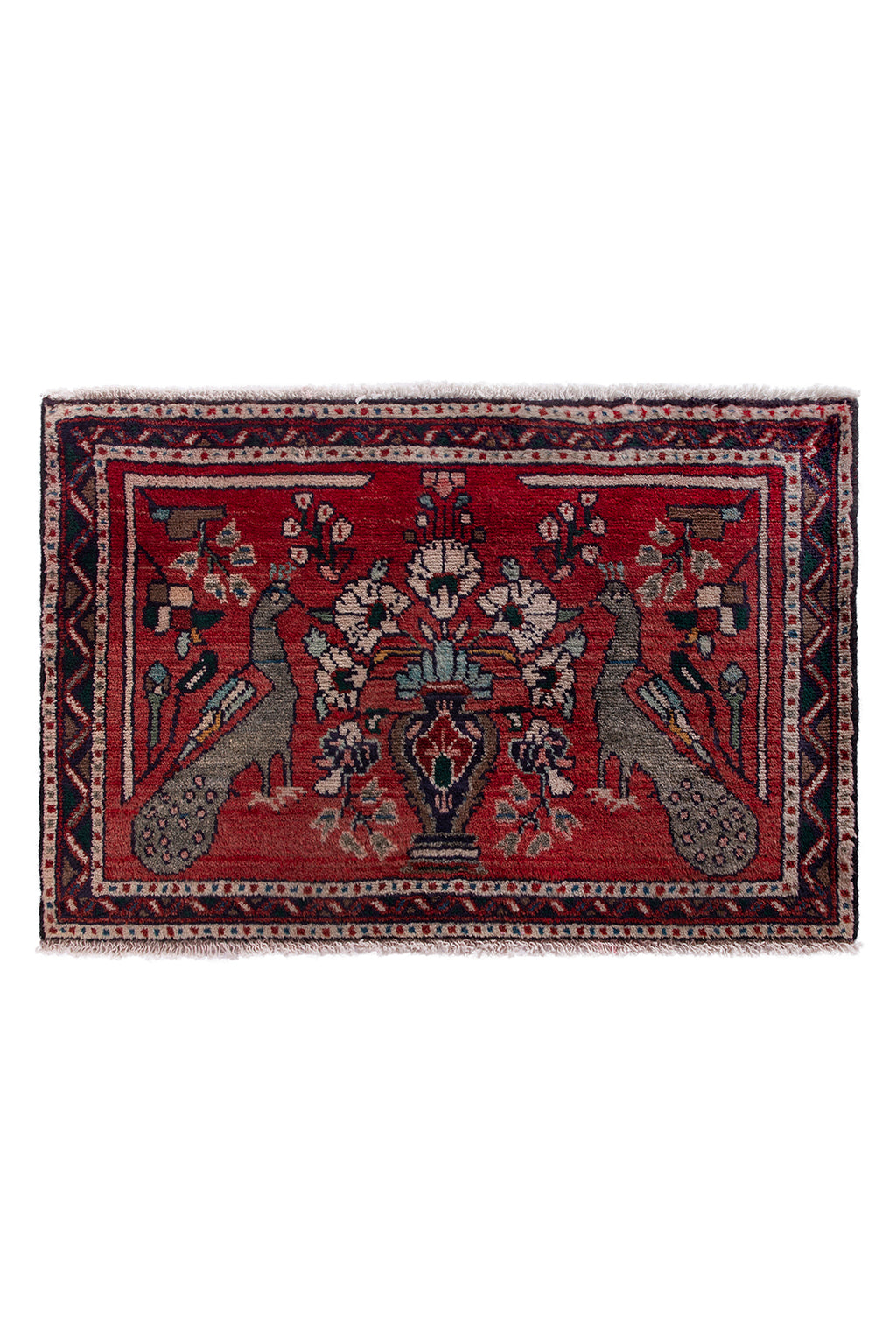 5679 Hamedan Handmade Persian Rug