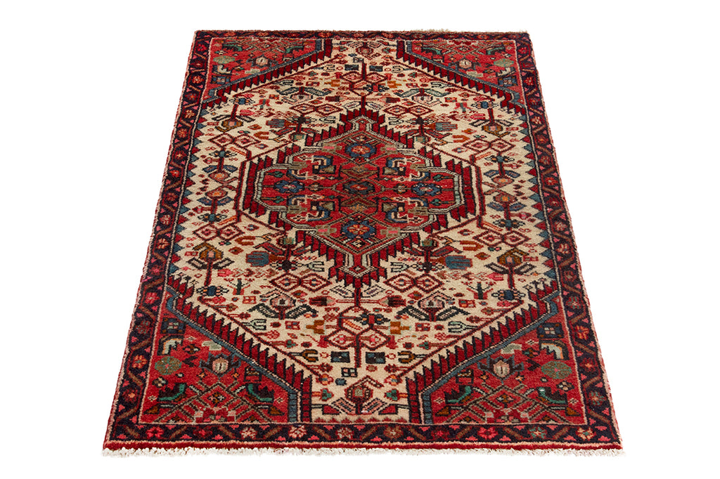 5698 Hamedan Handmade Persian Rug