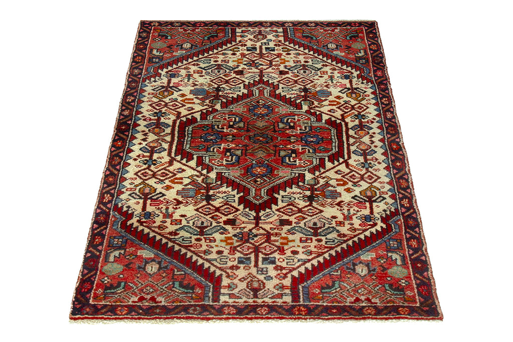 5698 Hamedan Handmade Persian Rug