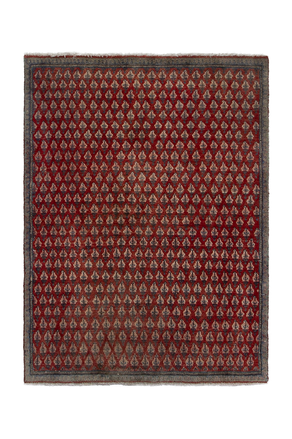 5701 Arak Handmade Persian Rug