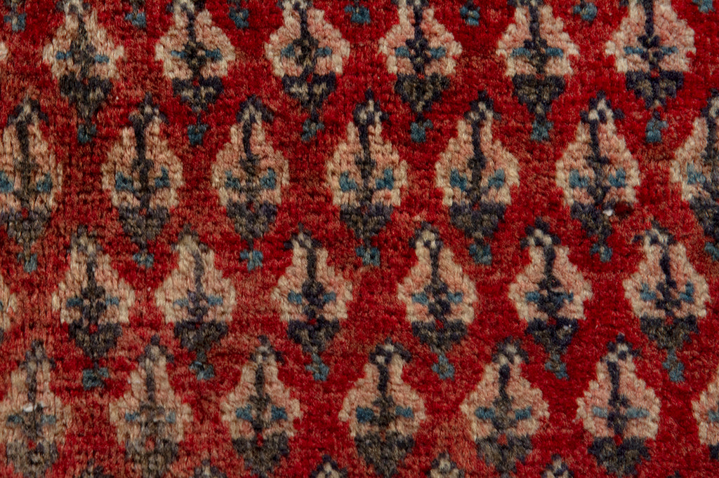 5701 Arak Handmade Persian Rug