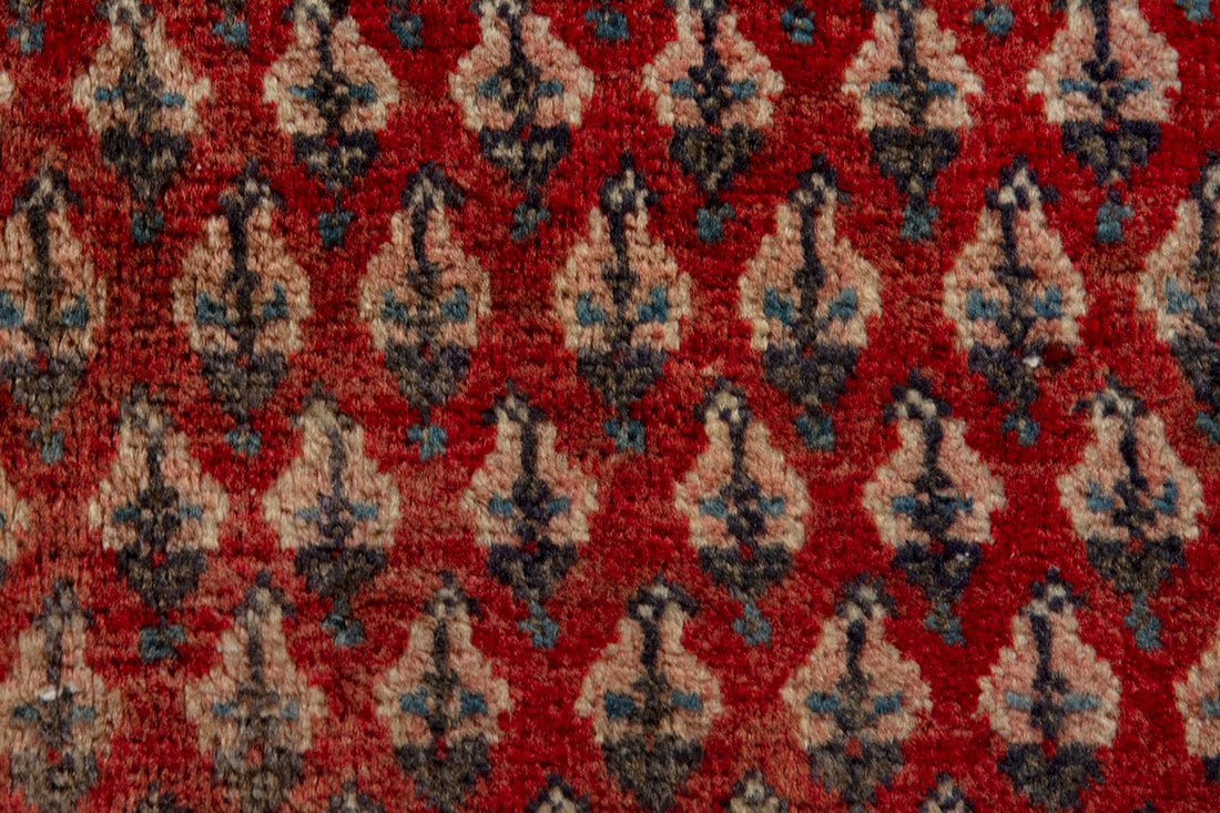 5701 Arak Handmade Persian Rug